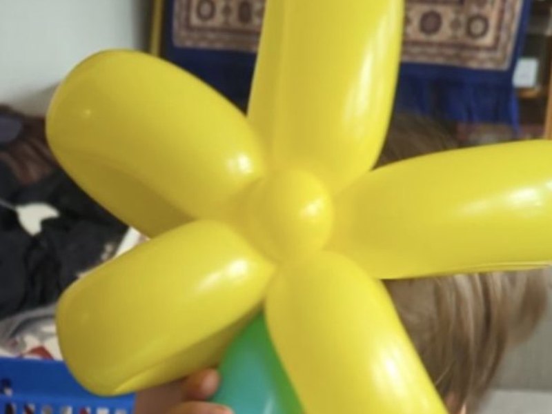 Balloon flowers twisted for a child