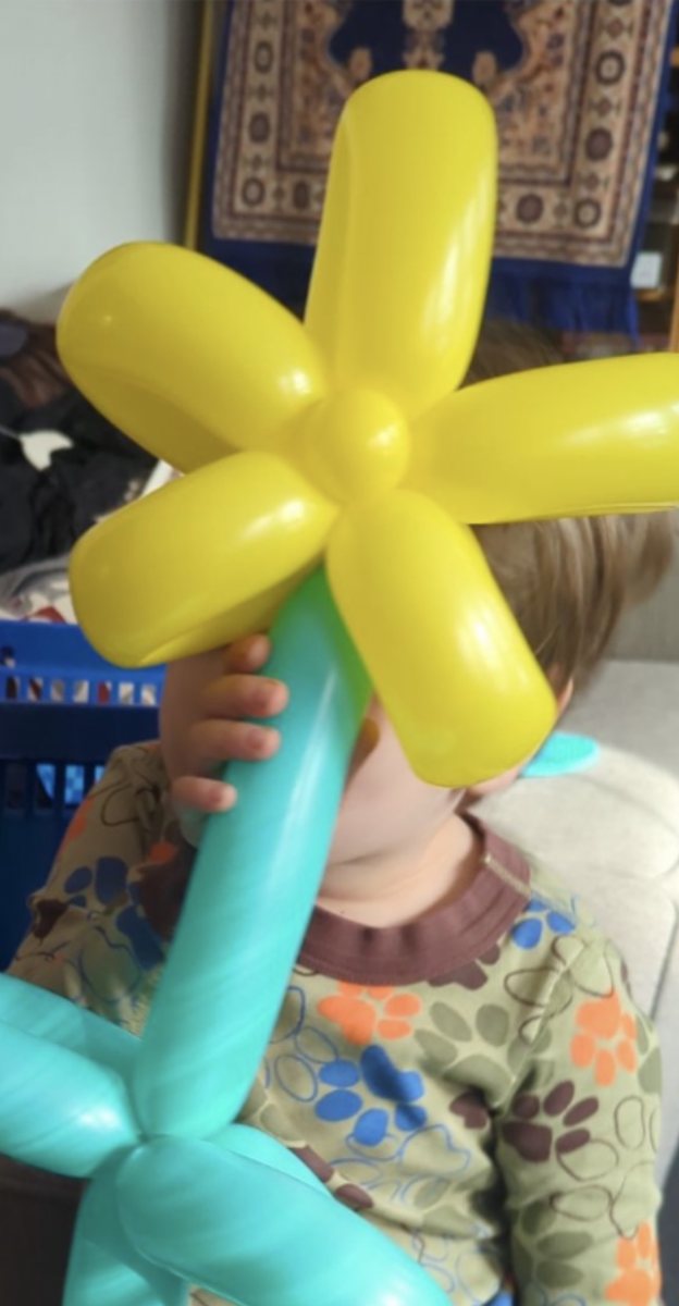 Balloon flowers twisted for a child