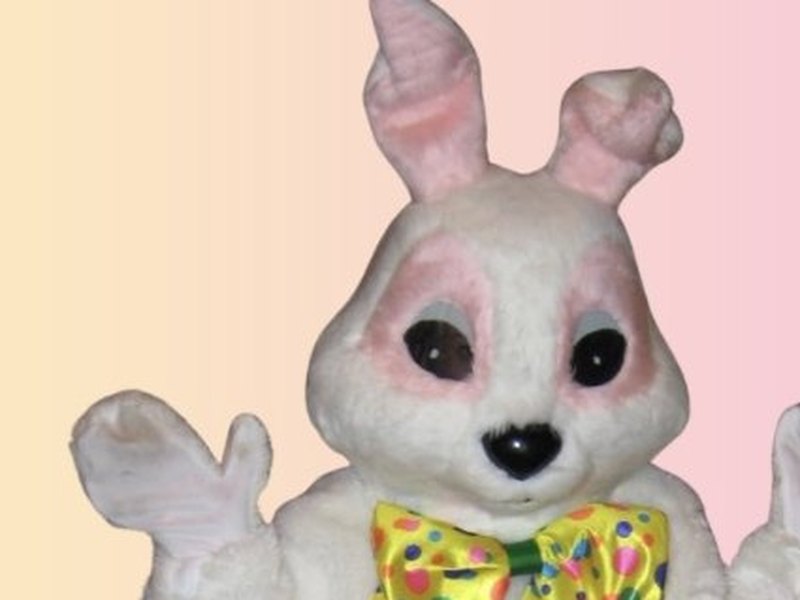 The Creative Entertainment Easter Bunny costume character